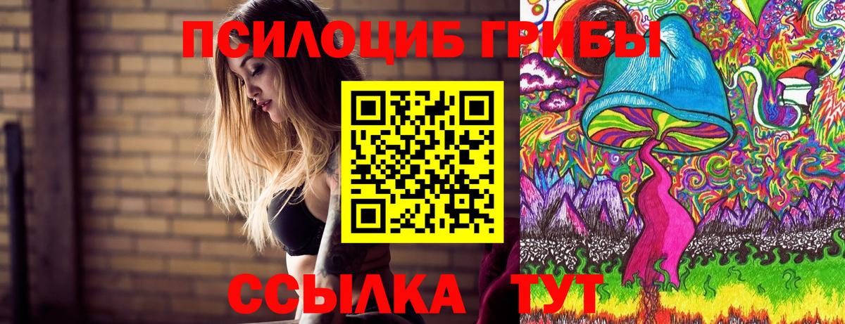 Галлюциногенные грибы MAGIC MUSHROOMS Чистополь