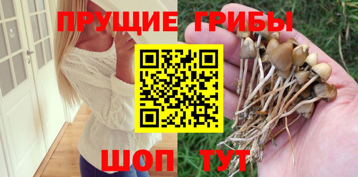 Галлюциногенные грибы мухоморы  Чистополь  даркнет сайт  Галлюциногенные грибы GOLDEN TEACHER 